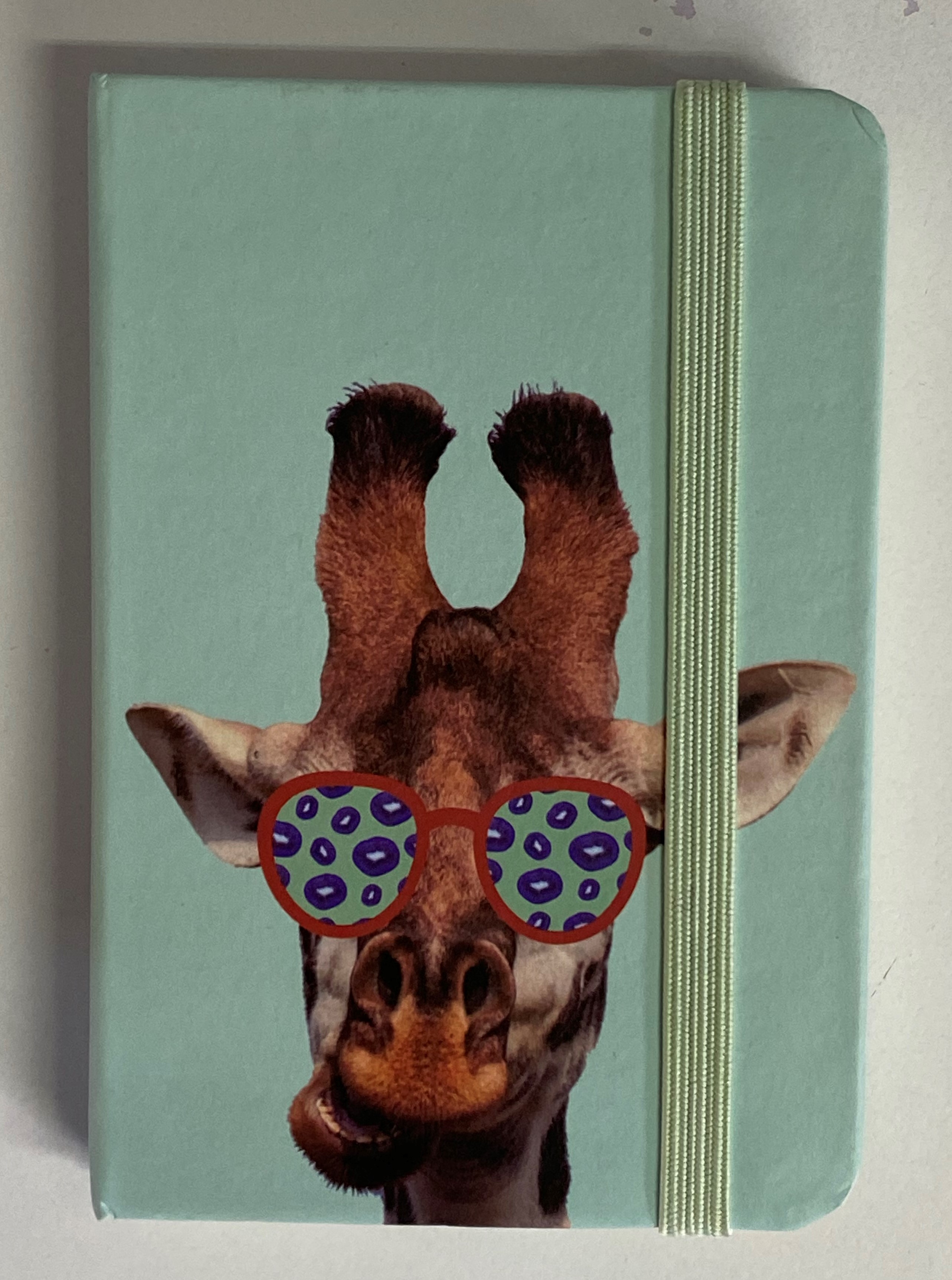 giraffe-sunglasses-notebook-a5